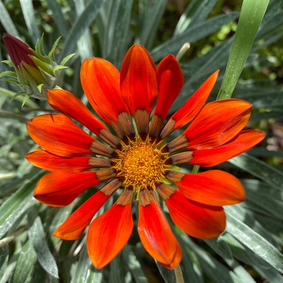 Meet your Posher, Jenny - Picture 1 of 1